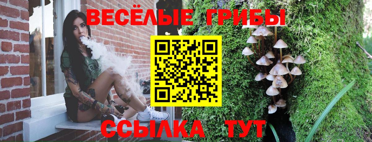Псилоцибиновые грибы GOLDEN TEACHER Еманжелинск